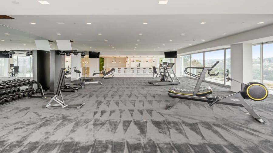 The One | Bel Air, Los Angeles, CA | Luxury Real Estate | Gym