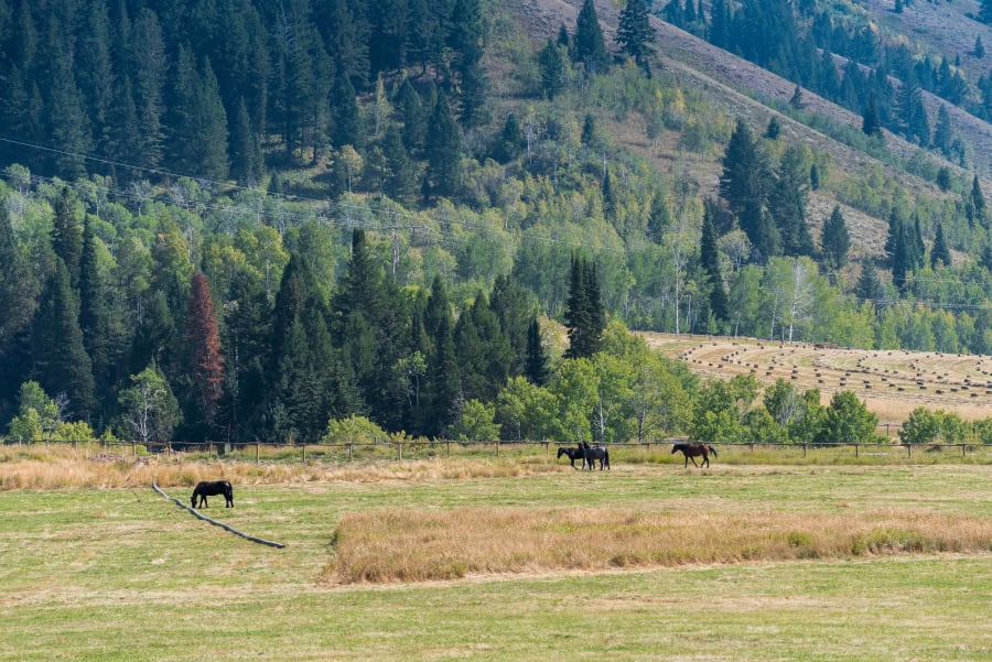 985 Elk Ridge Road | Jackson, WY | Luxury Real Estate