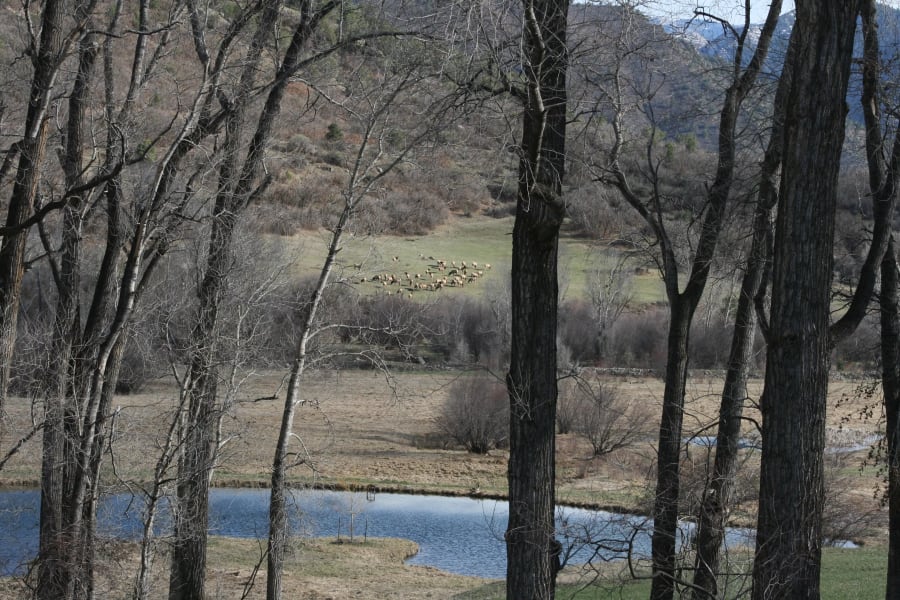 Inyanga Ranch | Glenwood Springs, Colorado | Luxury Real Estate