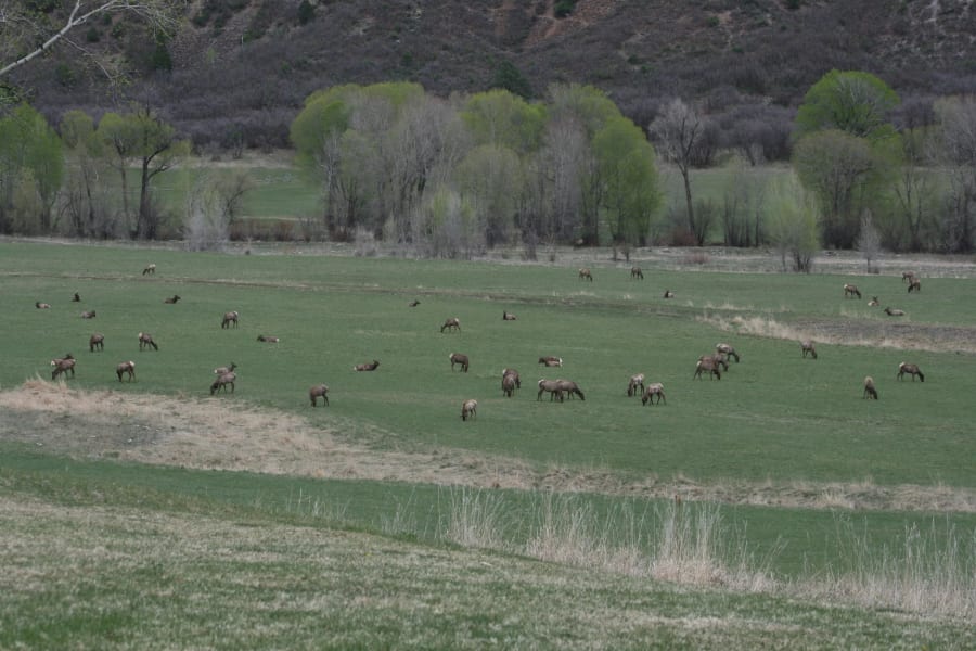 Inyanga Ranch | Glenwood Springs, Colorado | Luxury Real Estate