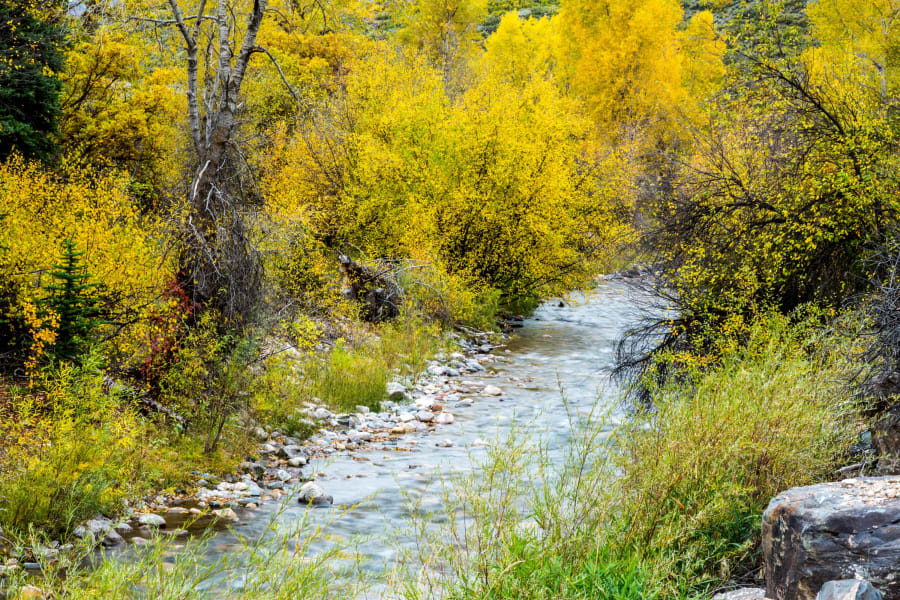 Inyanga Ranch | Glenwood Springs, Colorado | Luxury Real Estate