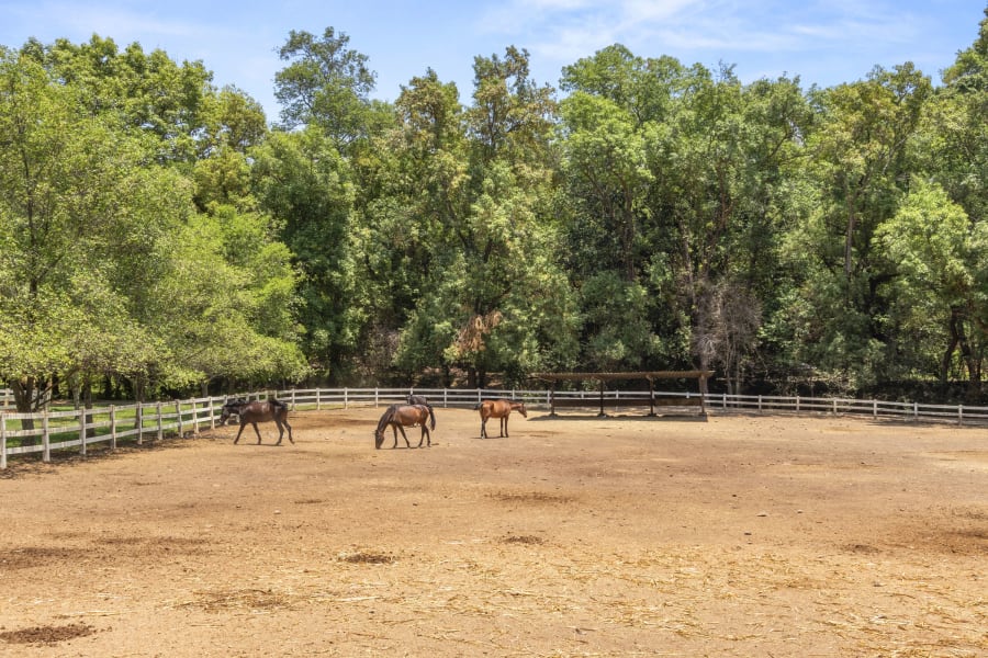 Rancho El Salto | Valle de Bravo, Ciudad de Mexico, Mexico | Luxury Real Estate | Concierge Auctions