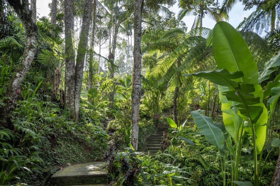 Alassari | Bali, Indonesia | Luxury Real Estate