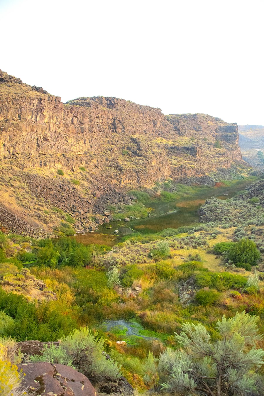 Devil's Corral | Snake River, ID | Luxury Real Estate