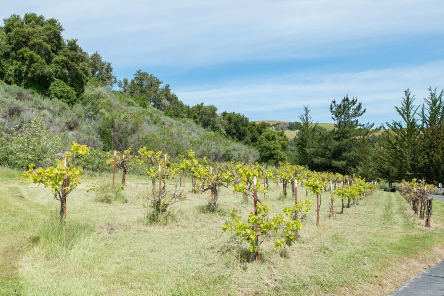 Hidden Valley Ranch | 384 Corral De Tierra Road | Salinas, California | Luxury Real Estate