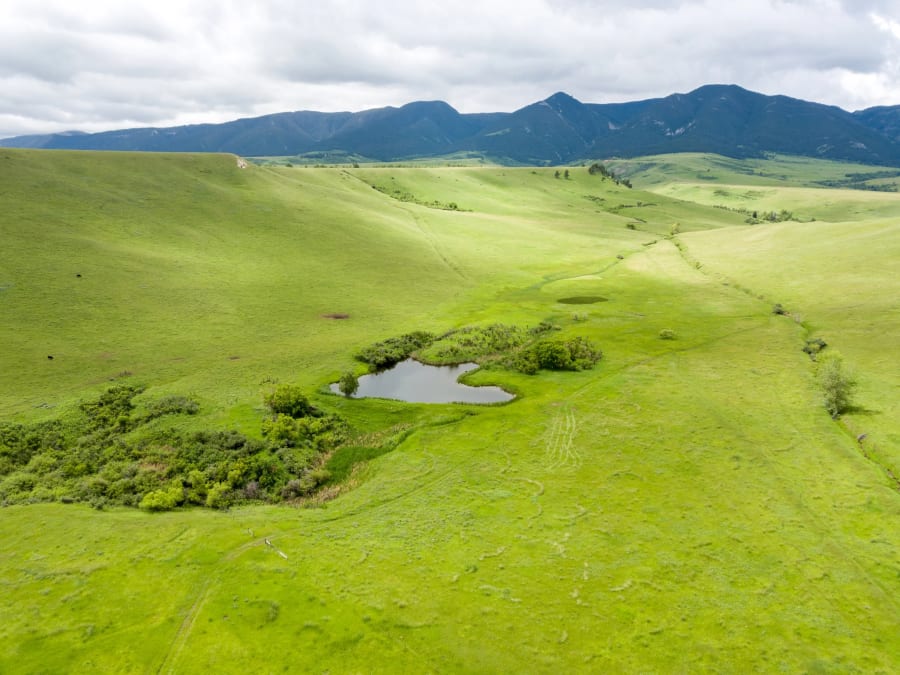 Holy Cow Ranch | Sheridan, Wyoming | Luxury Real Estate