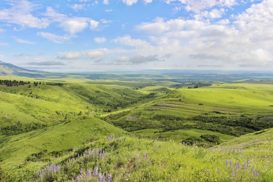 Sheridan, WY, US