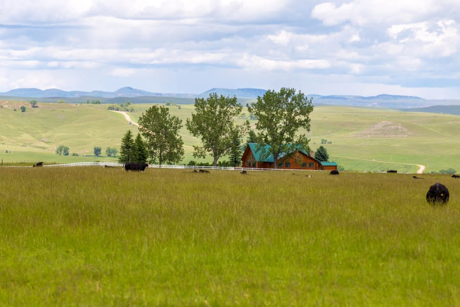 Holy Cow Ranch | Sheridan, Wyoming | Luxury Real Estate
