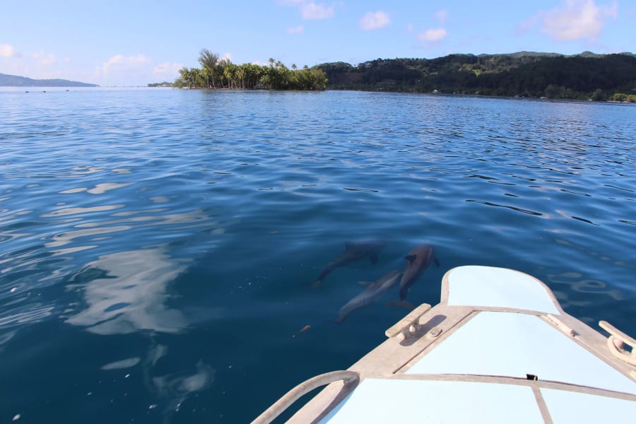 Motu Tiano | French Polynesia | Luxury Real Estate