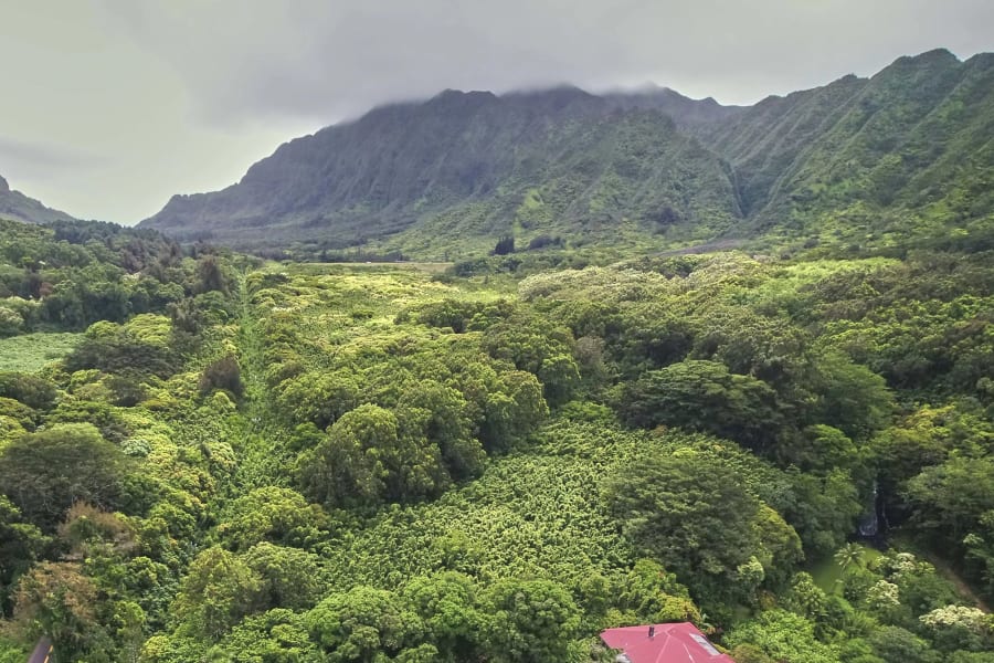 Honolulu, HI | Luxury Real Estate