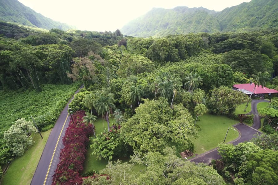 
Honolulu, HI | Luxury Real Estate