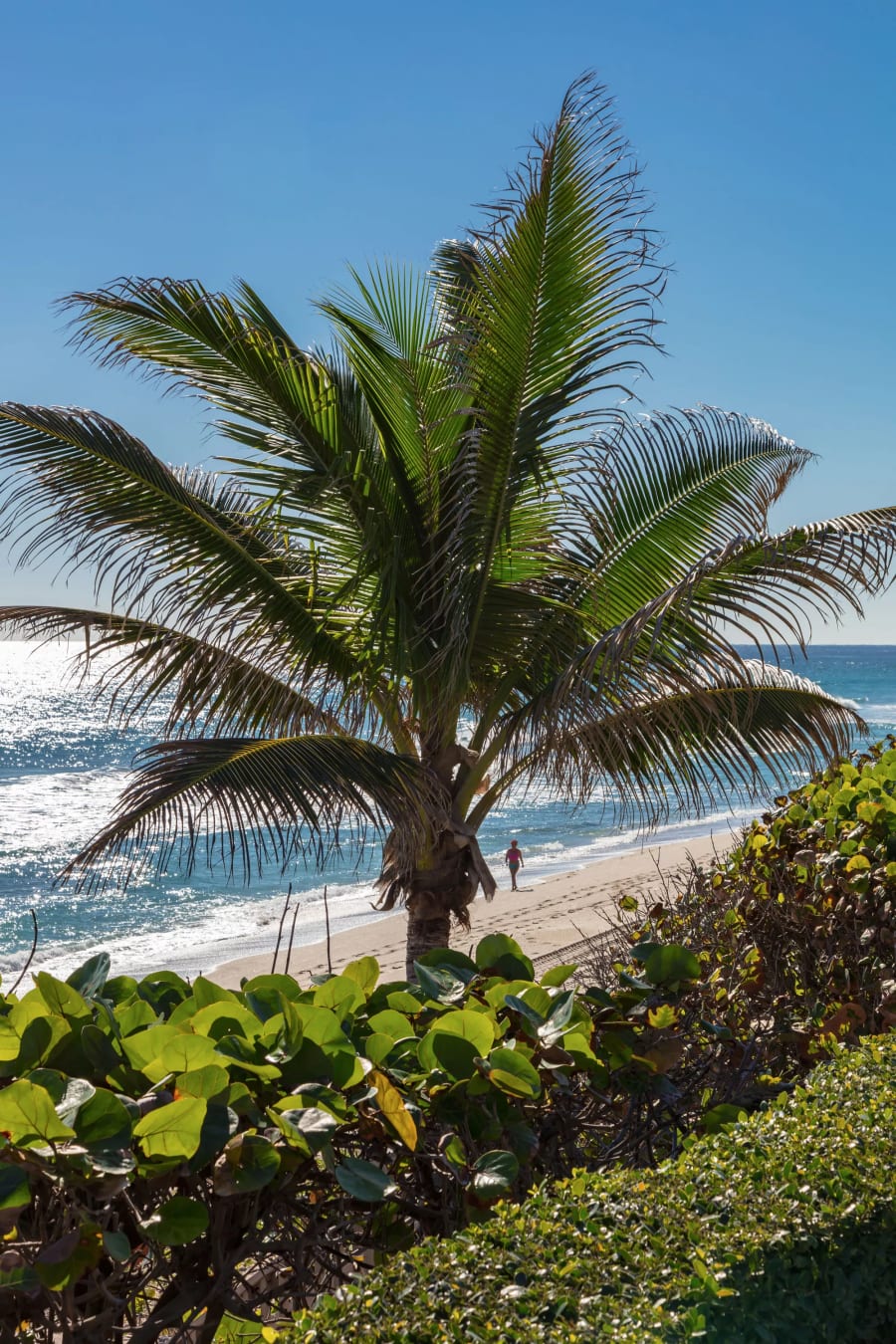 Hillsboro Beach, FL | Luxury Real Estate