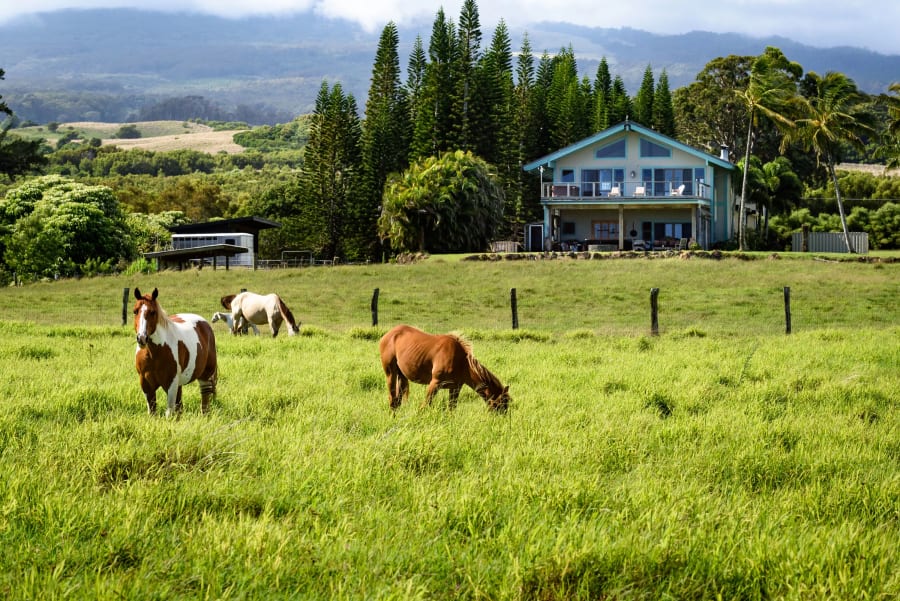 1949 W Kuiaha Rd. | Haiku, HI | Luxury Real Estate