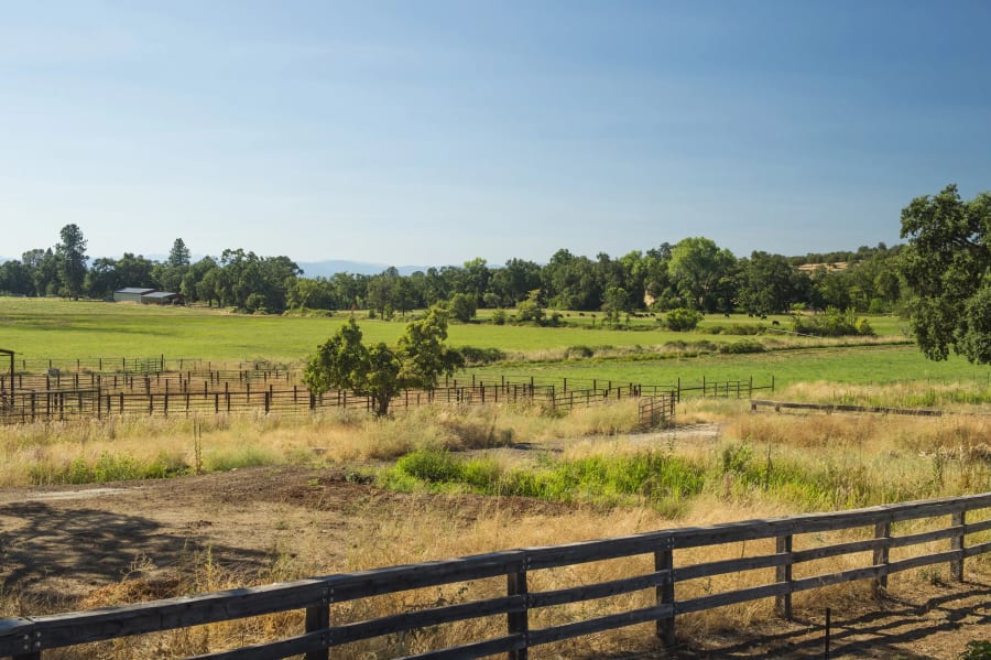 Anselmo Vineyards | 28740 Inwood Road, Shingletown, CA | Luxury Real Estate