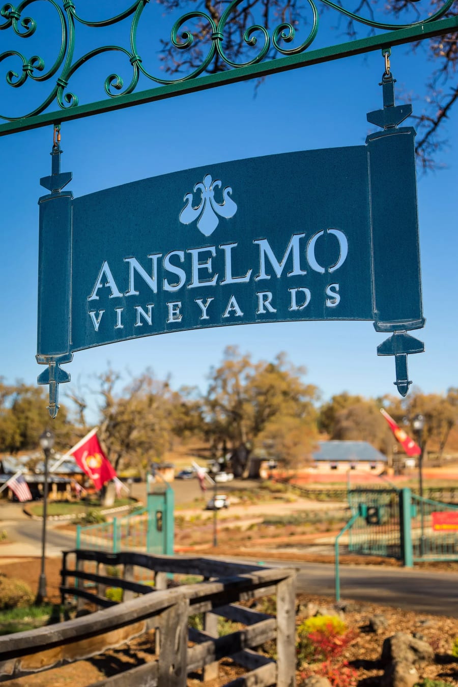 Anselmo Vineyards | 28740 Inwood Road, Shingletown, CA | Luxury Real Estate