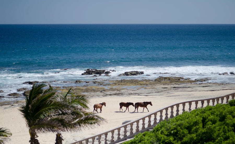 Casa Bellamar | Los Cabos, Mexico | Luxury Real Estate