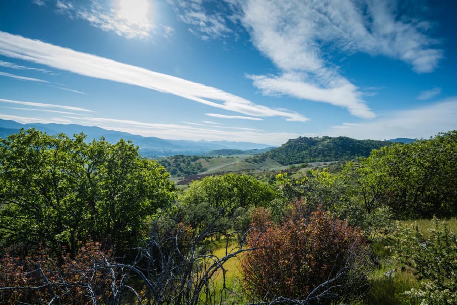 Circle of Teran | 3300 Butler Creek Rd, Ashland, OR | Luxury Real Estate