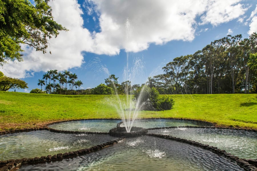 Olu Pua Gardens | Kalaheo, Kauai, HI | Luxury Real Estate