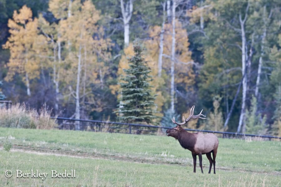 Peace Ranch | 2900 Taylor Creek RD, Basalt, CO | Luxury Real Estate