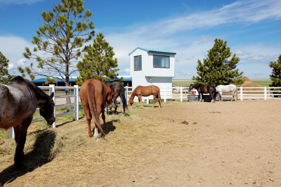 Shiloh Ranch | 18980 Shiloh Ranch Rd, Colorado Springs, CO | Luxury Real Estate