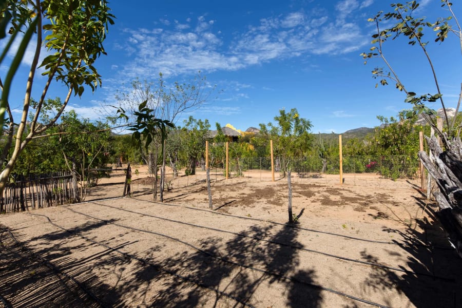 Rancho Espiritu | Los Cabos, Mexico | Luxury Real Estate