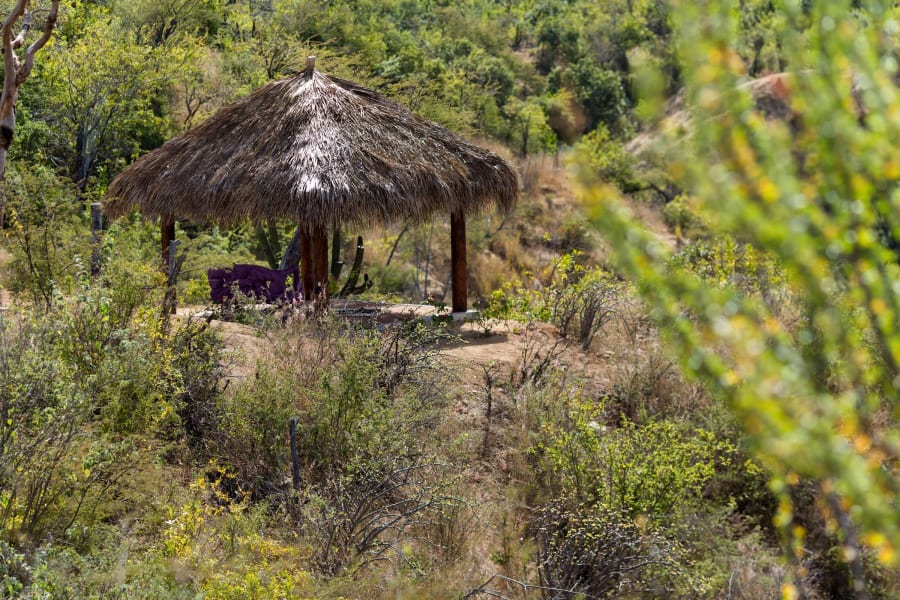 Rancho Espiritu | Los Cabos, Mexico | Luxury Real Estate