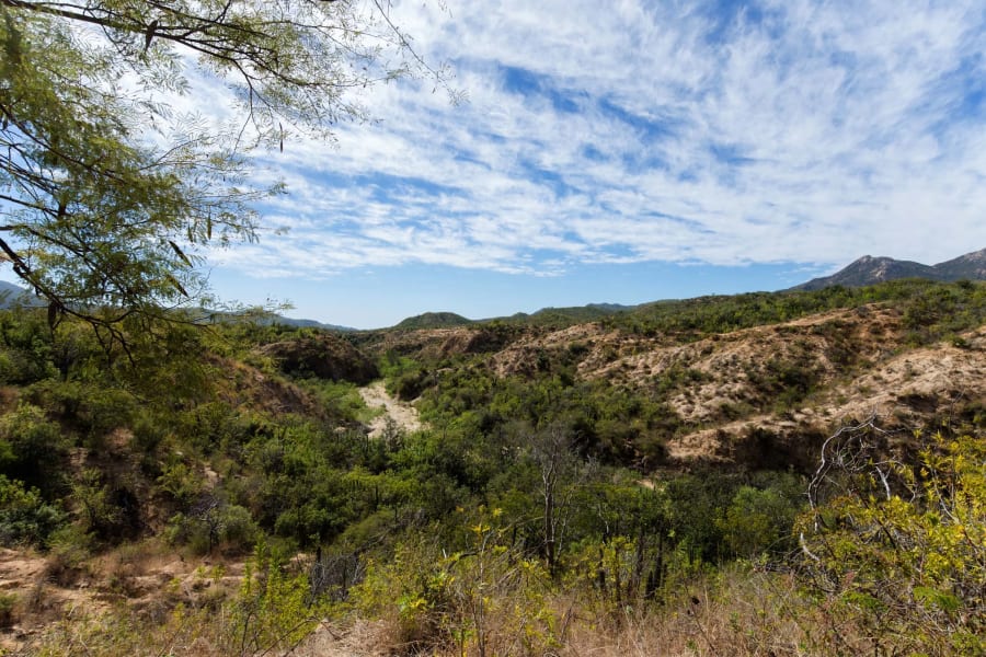 Rancho Espiritu | Los Cabos, Mexico | Luxury Real Estate