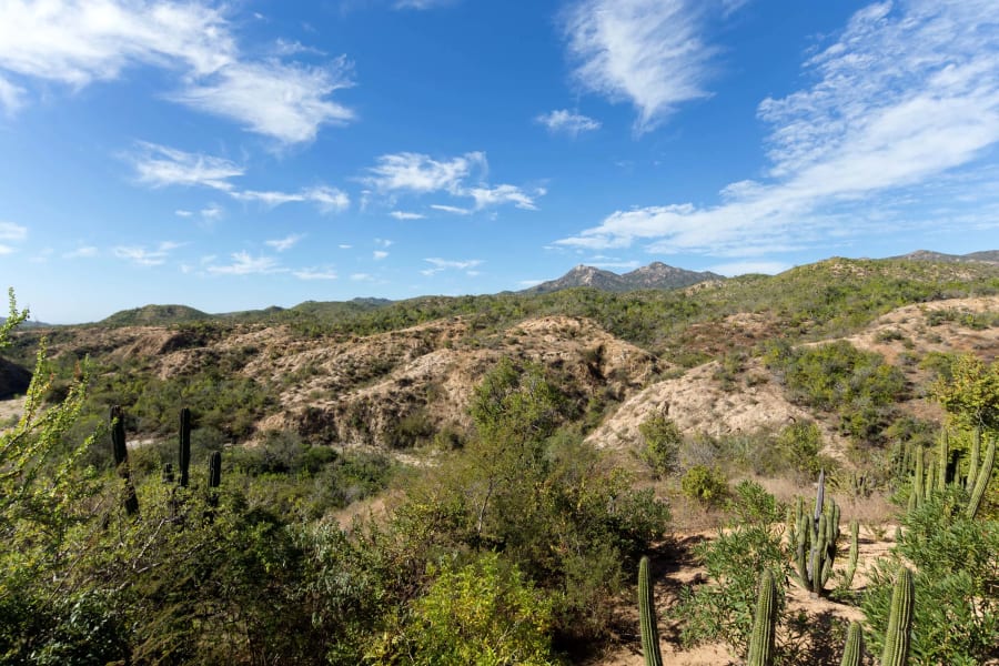 Rancho Espiritu | Los Cabos, Mexico | Luxury Real Estate