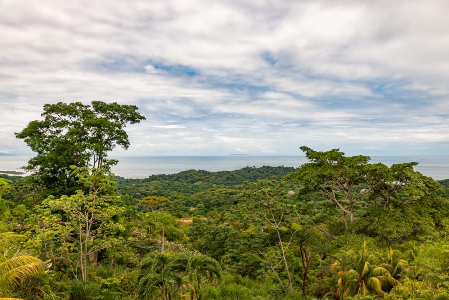 The Bella Rosa | Ojochal, Costa Rica | Luxury Real Estate