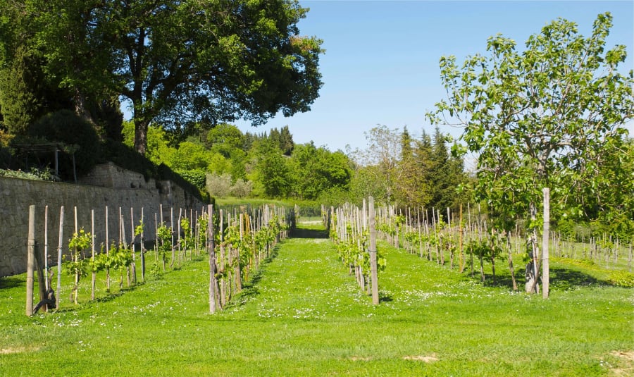 Vallone di Sotto | Tuscany, Italy | Luxury Real Estate