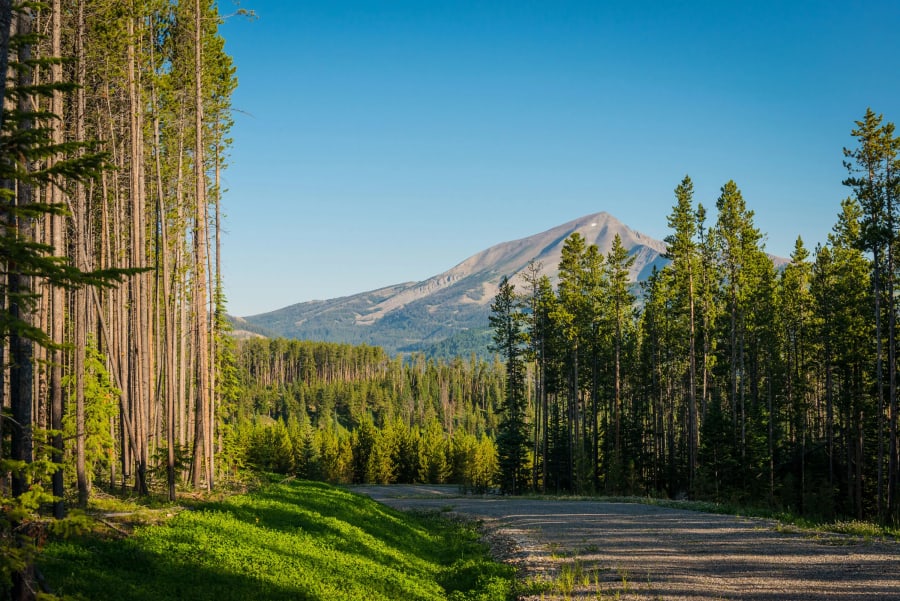 Elk Sage Ranch | Yellowstone Preserve | Big Sky, MT | Luxury Real Estate