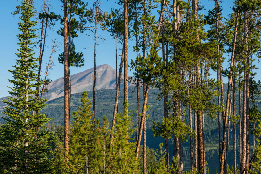 Firehole Ranch | Yellowstone Preserve | Big Sky, MT | Luxury Real Estate