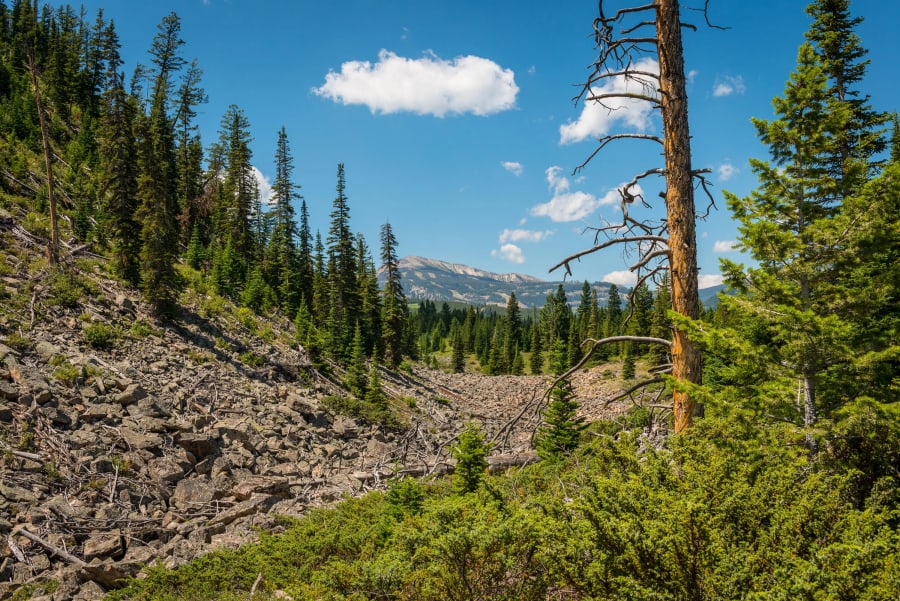 Yellowstone Preserve | Big Sky, MT | Luxury Real Estate