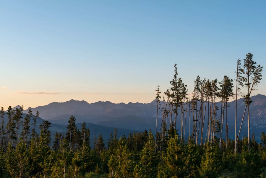 Yellowstone Preserve | Big Sky, MT | Luxury Real Estate