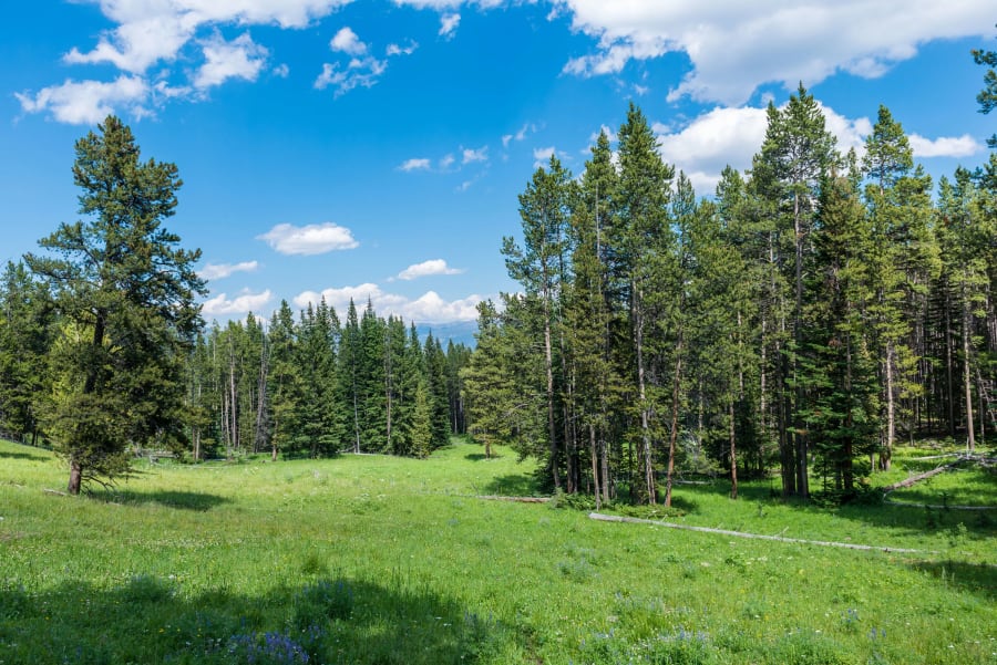 Travertine Ranch | Yellowstone Preserve | Big Sky, MT | Luxury Real Estate