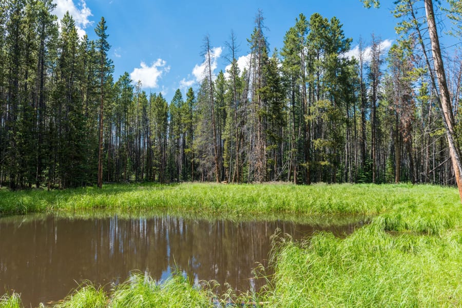 Travertine Ranch | Yellowstone Preserve | Big Sky, MT | Luxury Real Estate