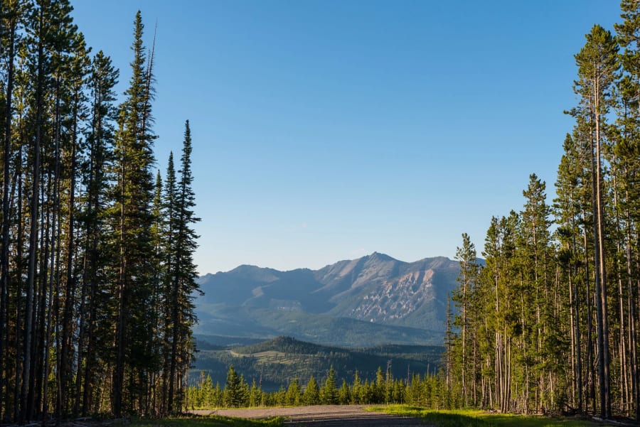 White Bark Ranch | Yellowstone Preserve | Big Sky, MT | Luxury Real Estate