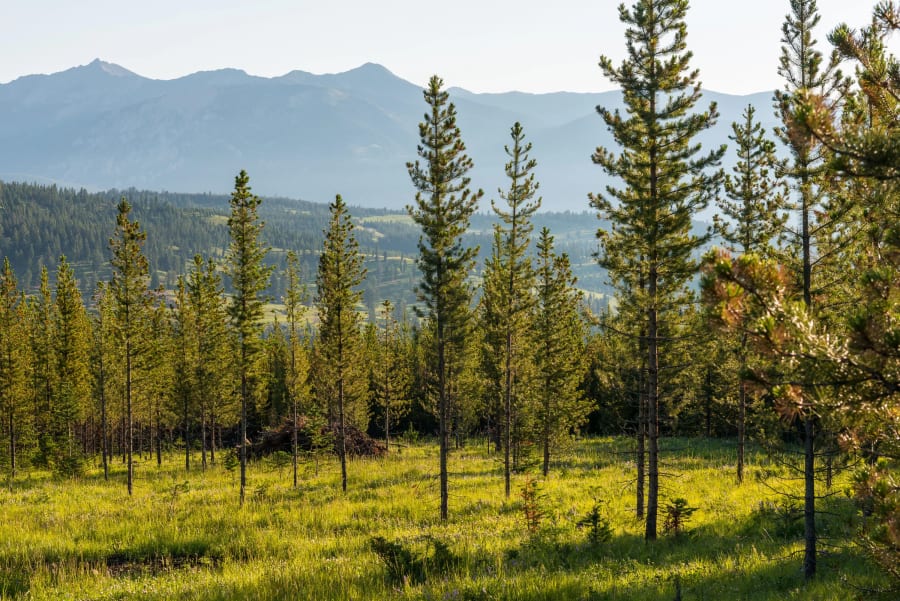 Yellowmule Ranch | Yellowstone Preserve | Big Sky, MT | Luxury Real Estate