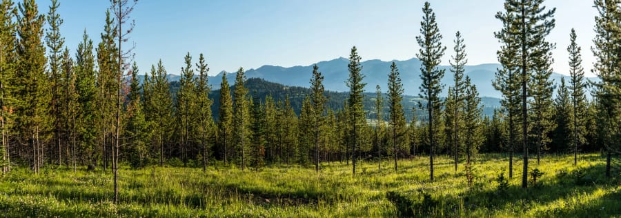 Yellowmule Ranch | Yellowstone Preserve | Big Sky, MT | Luxury Real Estate