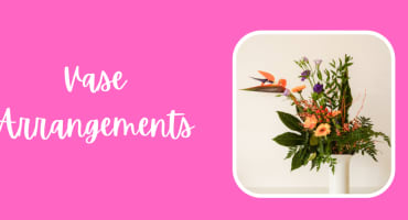 Vase Arrangements