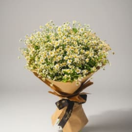 chamomile-bouquet