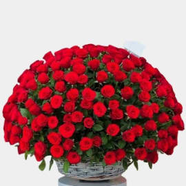 250 Luxury Red Roses Basket