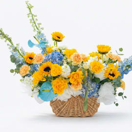 Shine Basket