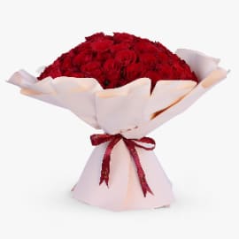 100-luxury-red-rose