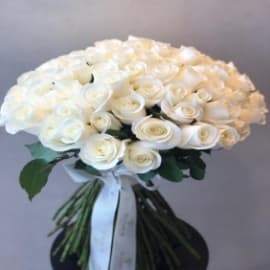 50-white-rose