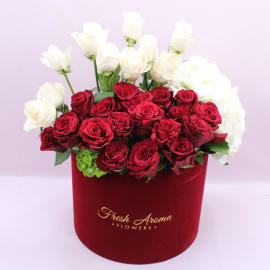 Red and White Roses 