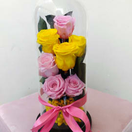 Preserved Pink and Yellow Roses in Glass jar
