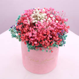 Dried Gypsophila in mixed color 