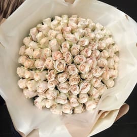Bouquet of white roses in white wrapping