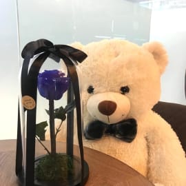 Everlasting blue rose in glass dome with brown teddy bear. 